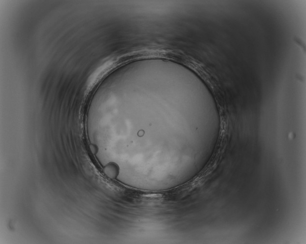 X0000101210053200807181428