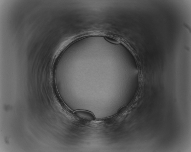 X0000101210055200807181428