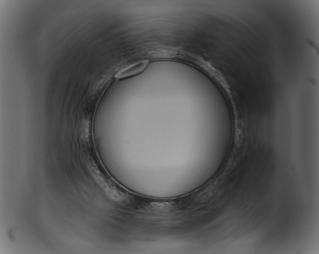 X0000101210057200807181428