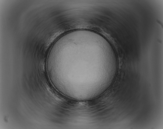 X0000101210060200807181428