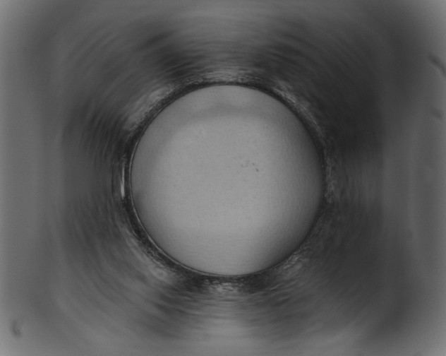 X0000101210062200807181428