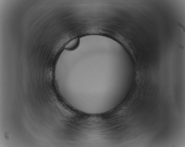 X0000101210063200807181428