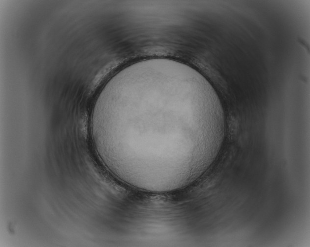 X0000101210064200807181428