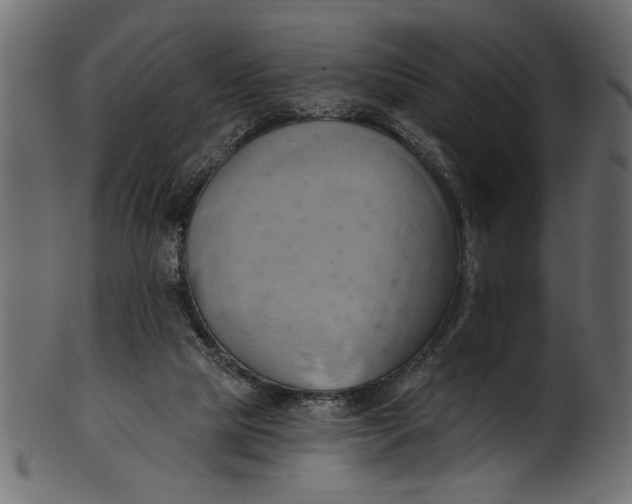 X0000101210065200807181428