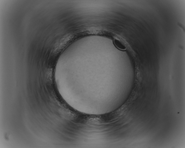 X0000101210066200807181428