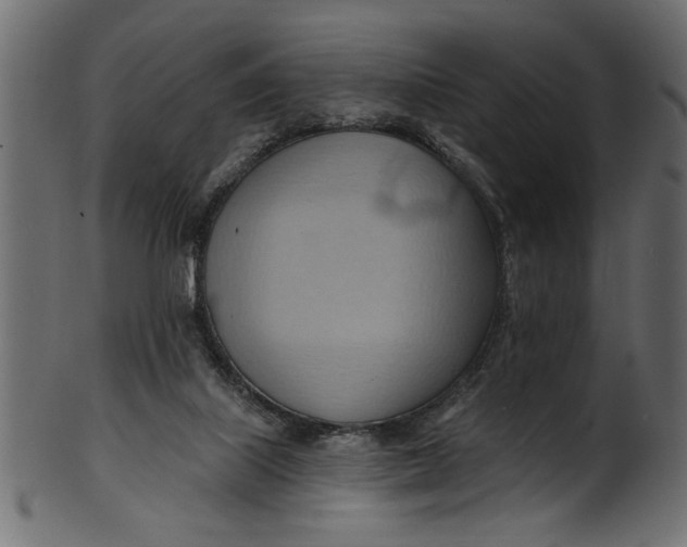 X0000101210067200807181428