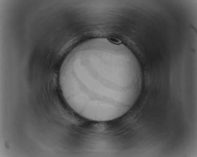 X0000101210071200807181428