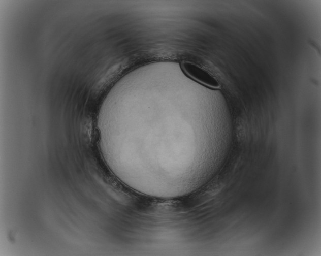 X0000101210072200807181428