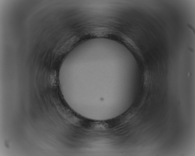 X0000101210073200807181428