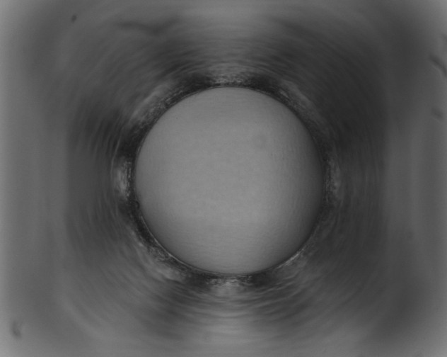 X0000101210074200807181428