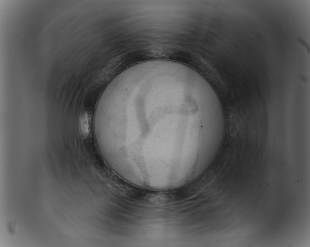 X0000101210075200807181428