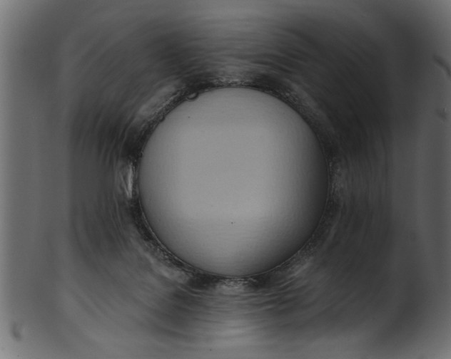 X0000101210076200807181428