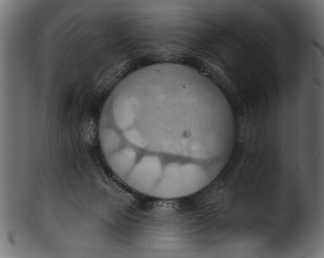 X0000101210077200807181428