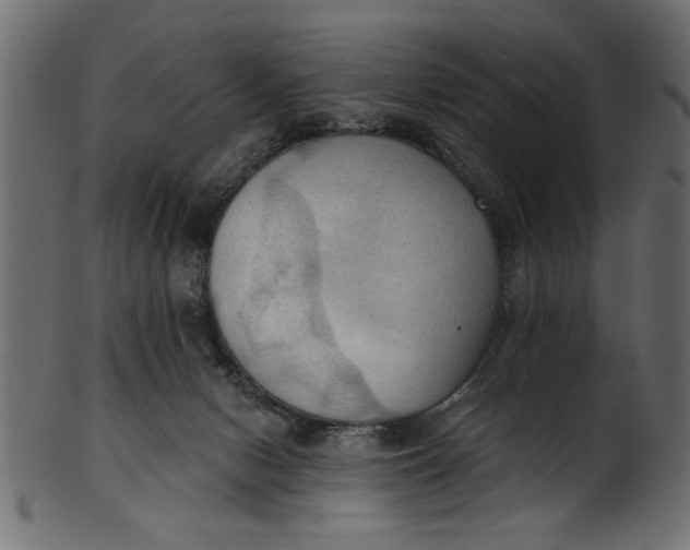 X0000101210078200807181428