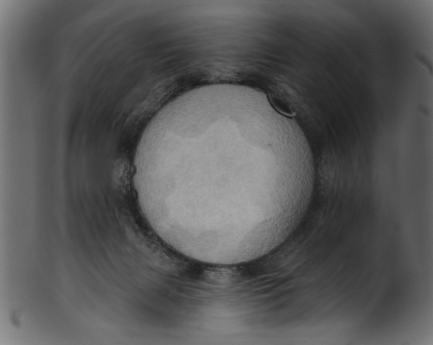 X0000101210079200807181428