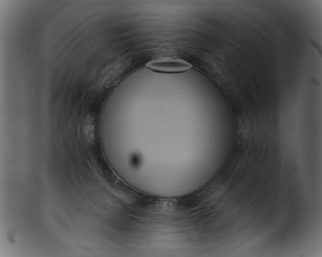 X0000101210080200807181428