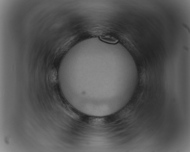 X0000101210081200807181428