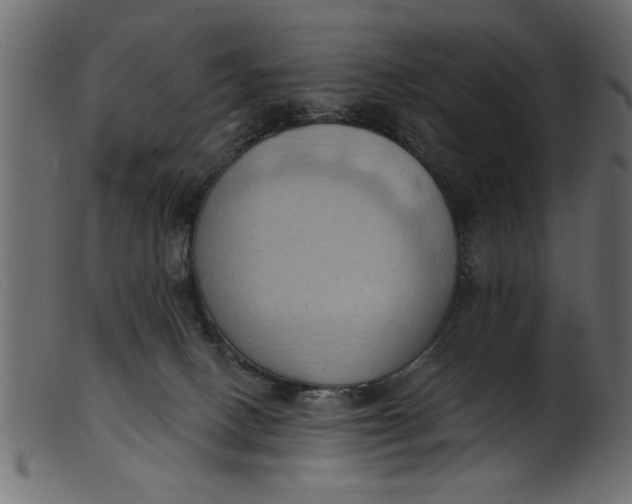 X0000101210082200807181428