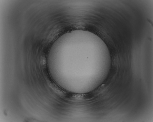 X0000101210084200807181428