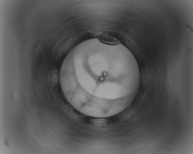 X0000101210085200807181428