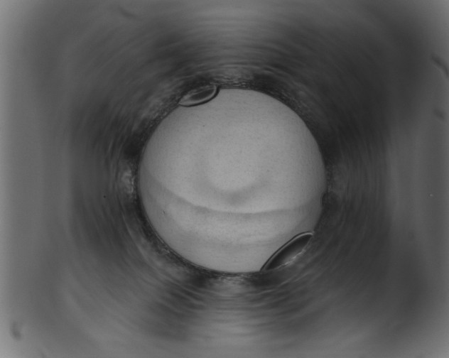 X0000101210086200807181428