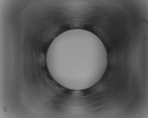 X0000101210087200807181428