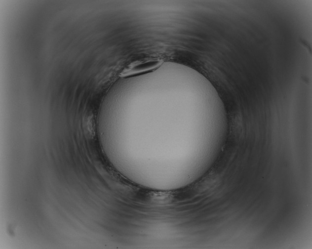 X0000101210088200807181428