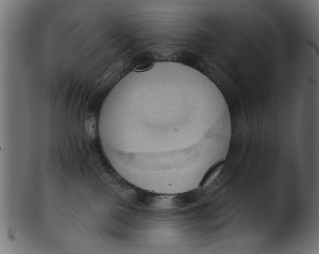 X0000101210090200807181428