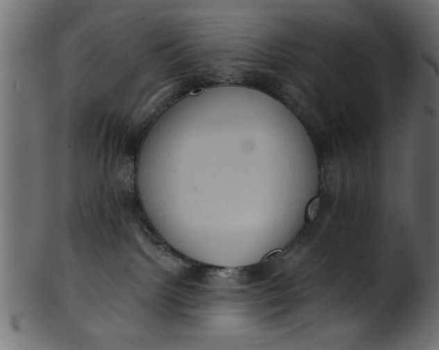 X0000101210092200807181428