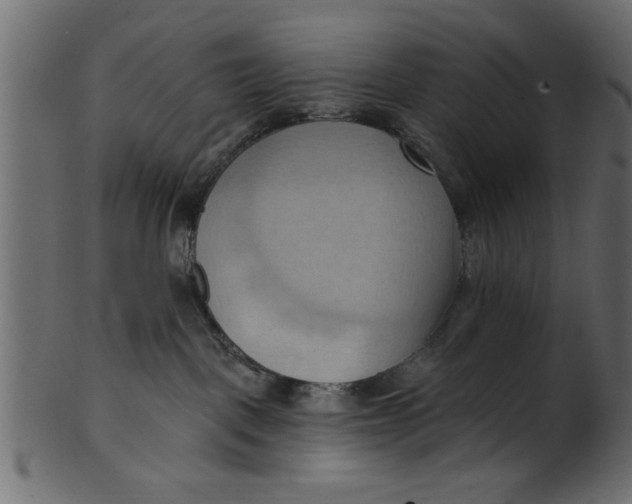 X0000101210093200807181428