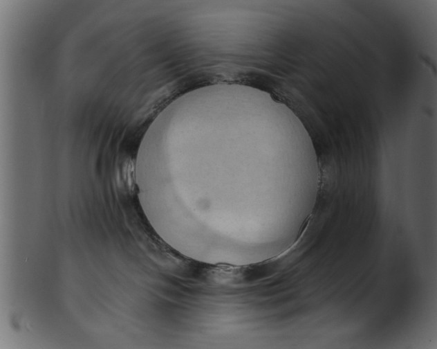 X0000101210094200807181428