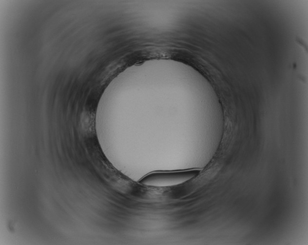 X0000101210096200807181428