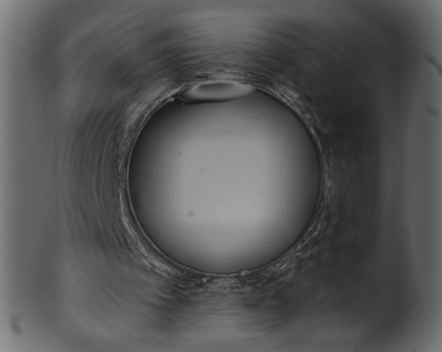 X0000101210097200807181427