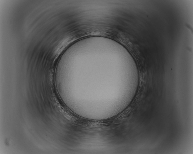 X0000101210098200807181427