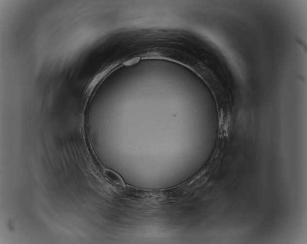 X0000101210099200807181427