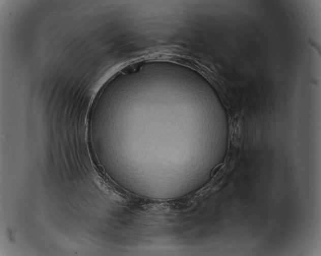 X0000101210100200807181427