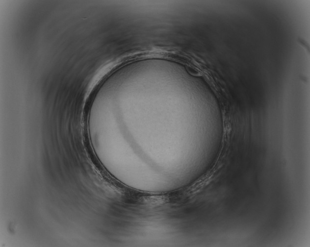 X0000101210102200807181427