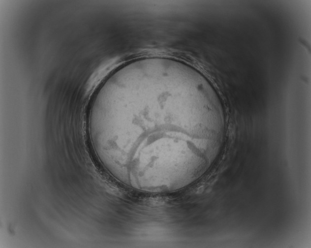 X0000101210103200807181427