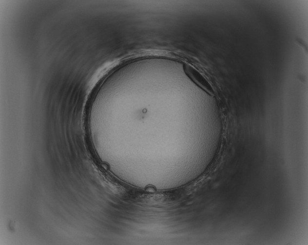 X0000101210104200807181427