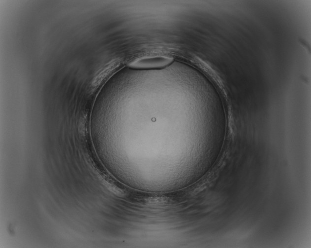 X0000101210105200807181427