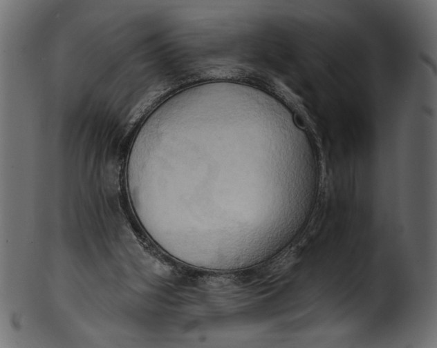 X0000101210106200807181427