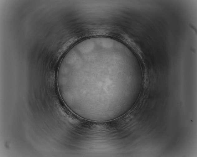 X0000101210107200807181427