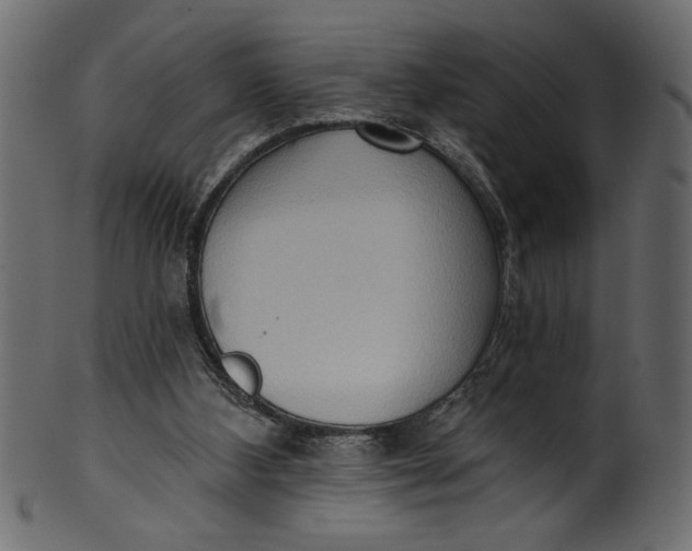 X0000101210108200807181427