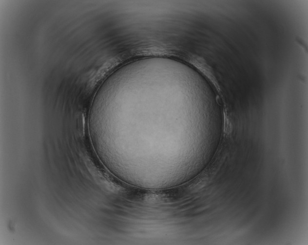 X0000101210109200807181427