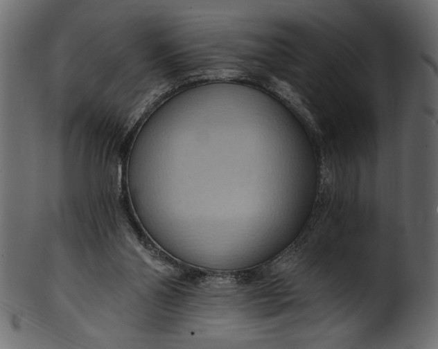 X0000101210110200807181427