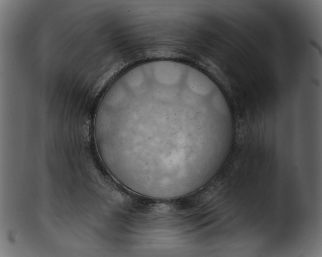 X0000101210111200807181427