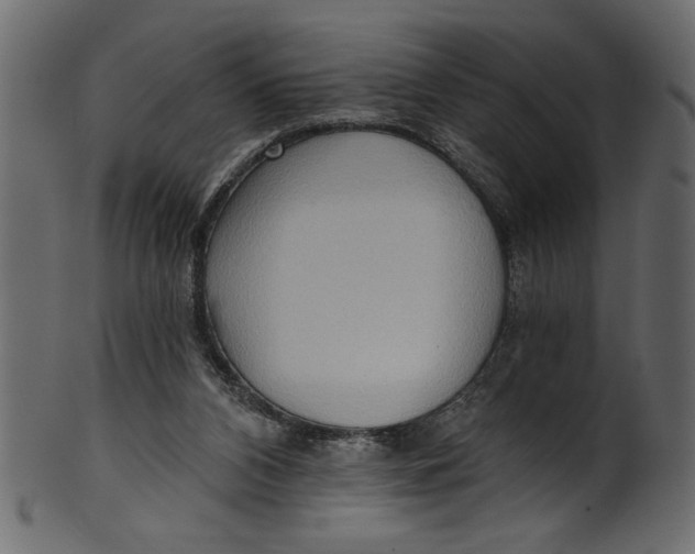 X0000101210112200807181427