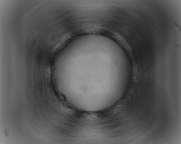 X0000101210113200807181427