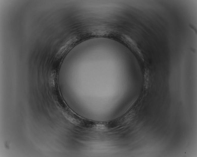 X0000101210114200807181427