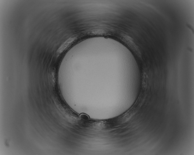 X0000101210116200807181427